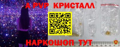 индика Нальчик