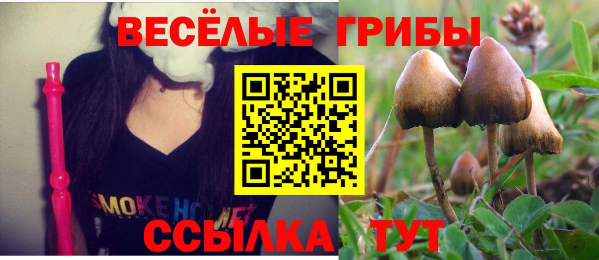 Галлюциногенные грибы мухоморы  Вход с VPN  купить закладку  Шарыпово 