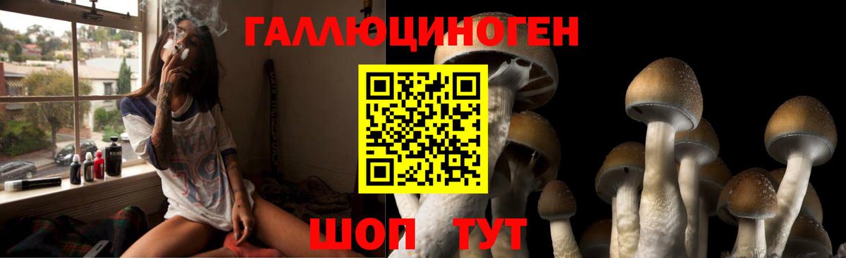Галлюциногенные грибы мухоморы Шарыпово